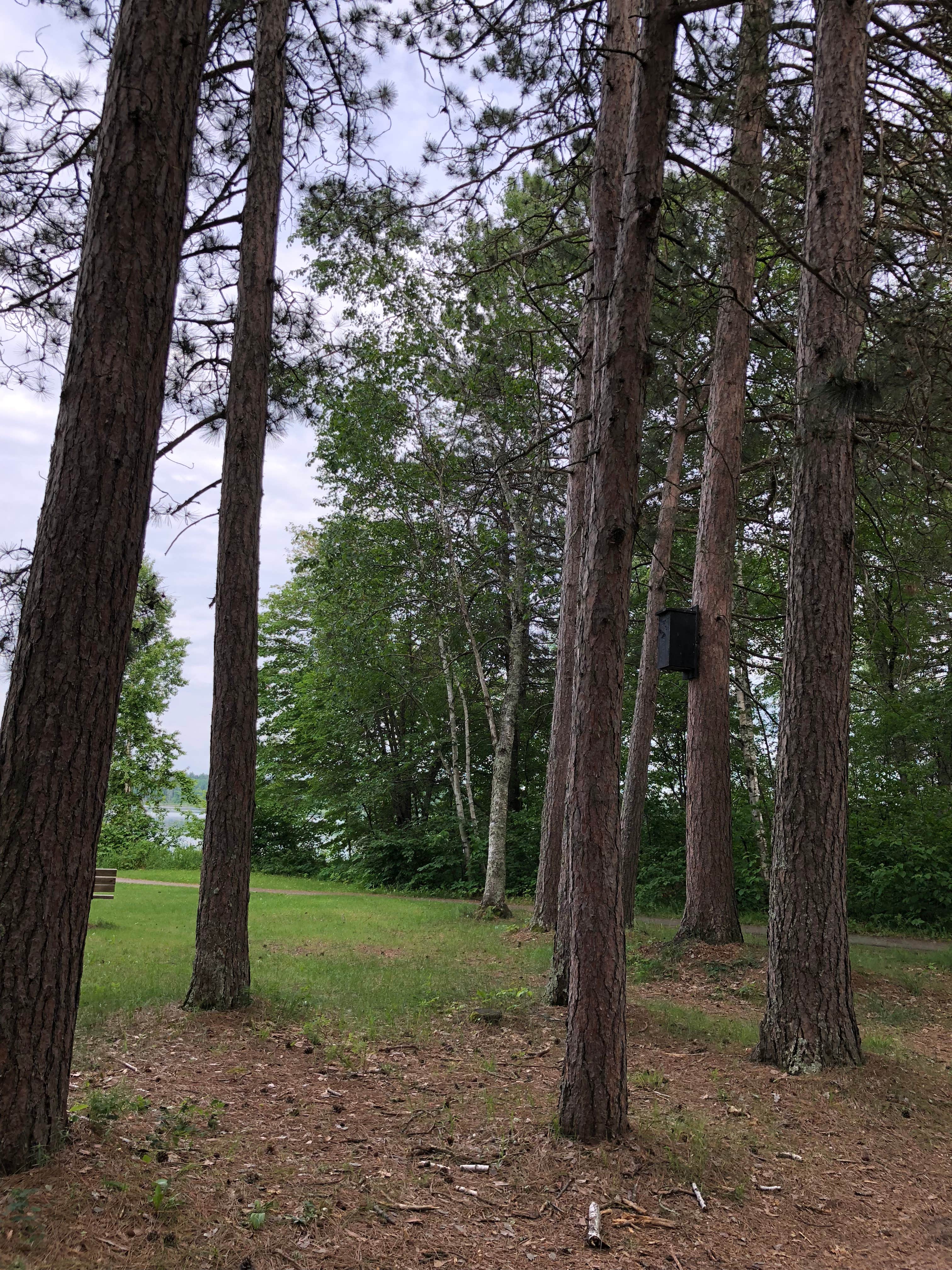 Camper-submitted photo at O-Ne-Gum-E Campground near Wirt, MN