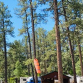 Review photo of Midtown Mountain Campground & RV Park by Milagros B., August 26, 2021