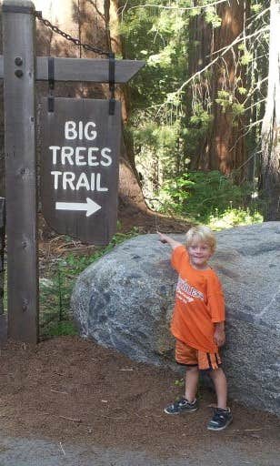 Camper-submitted photo at Dorst Creek Campground — Sequoia National Park - TEMPORARILY CLOSED near Hume, CA