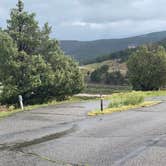 Review photo of Elk Ridge Campground — Ridgway State Park by Ronda C., August 27, 2021