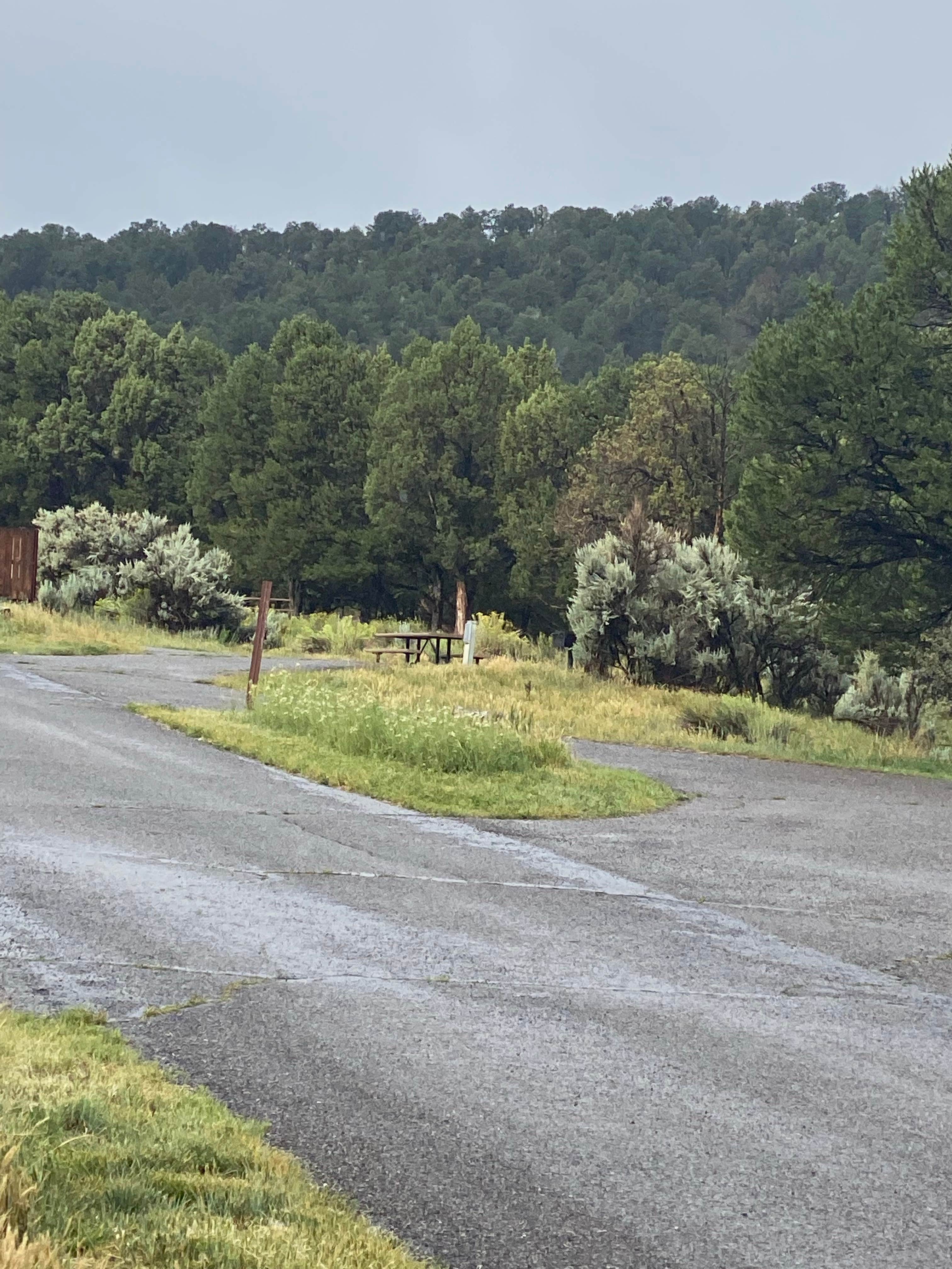 Ridgway State Park Elk Ridge Campground The Dyrt