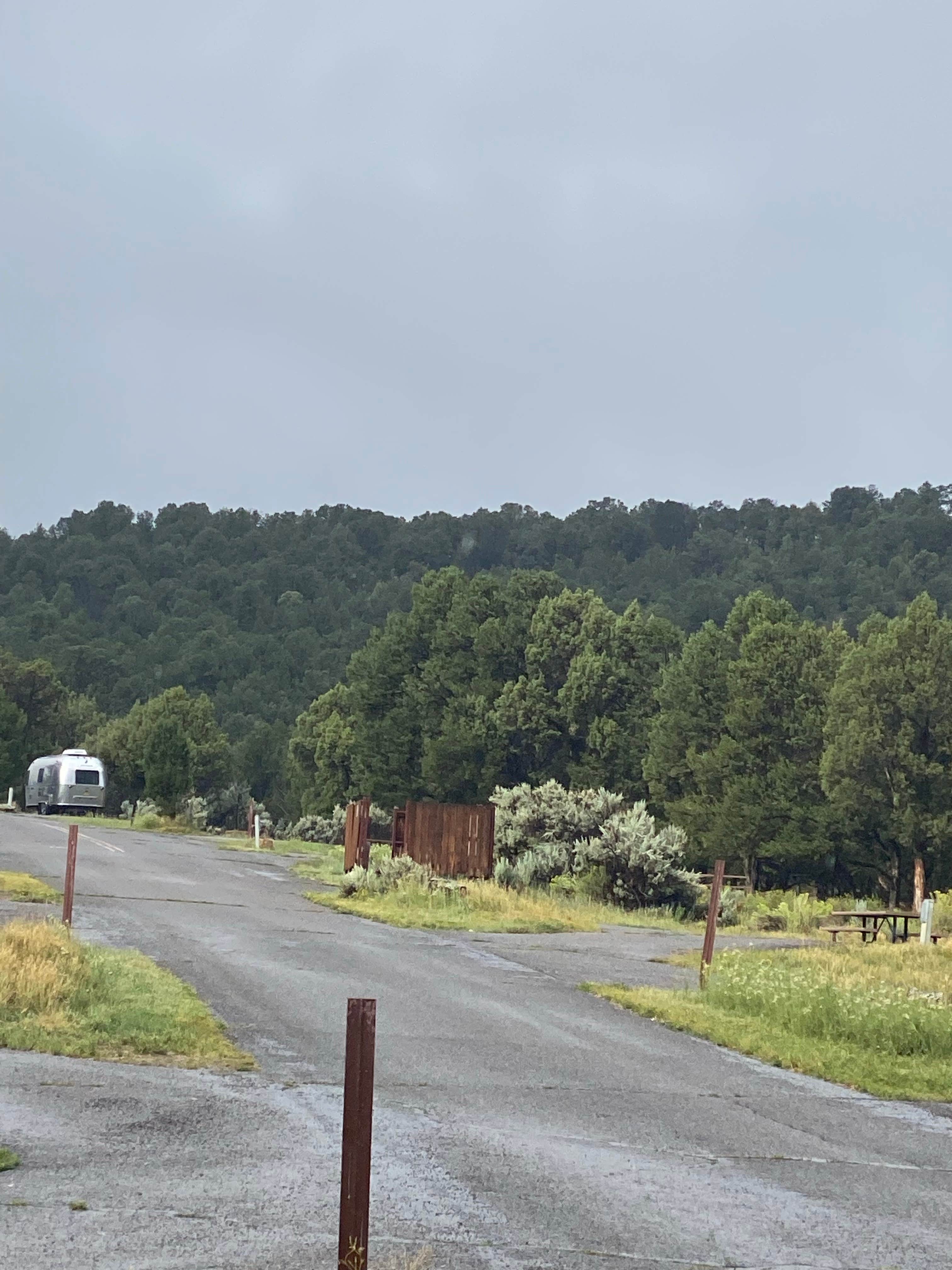 Ridgway State Park Elk Ridge Campground The Dyrt