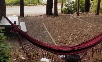 Leslie S.'s photo of camping with pets at Seal Rock Campground near Silverdale, WA