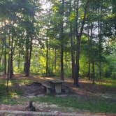 Review photo of Brick House Campground by bri , August 27, 2021