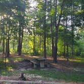 Review photo of Brick House Campground (Sc) — Francis Marion And Sumter National Forests by bri , August 27, 2021