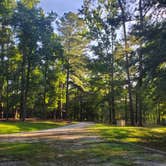 Review photo of Brick House Campground (Sc) — Francis Marion And Sumter National Forests by bri , August 27, 2021