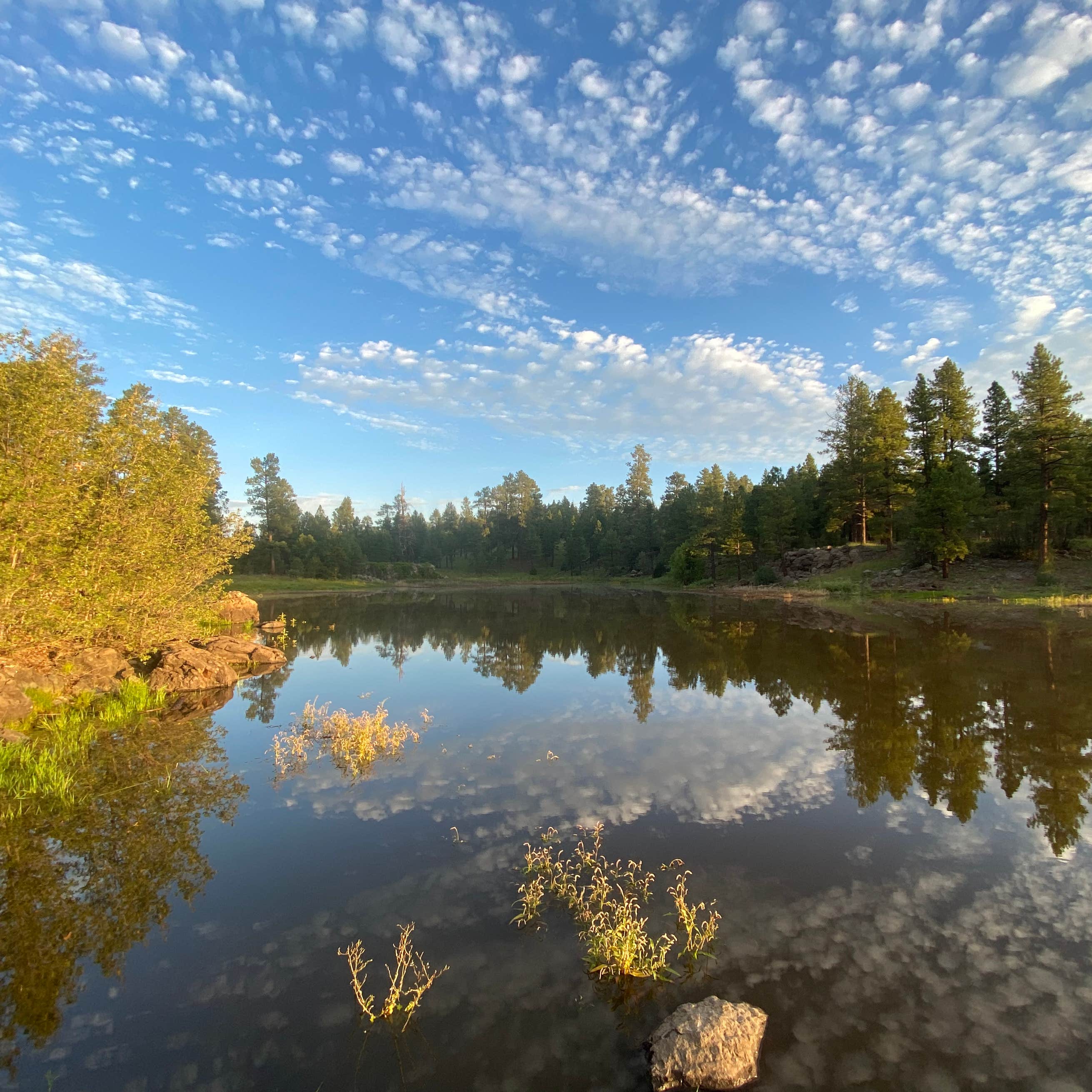 White Horse Lake Campground | Parks, Arizona