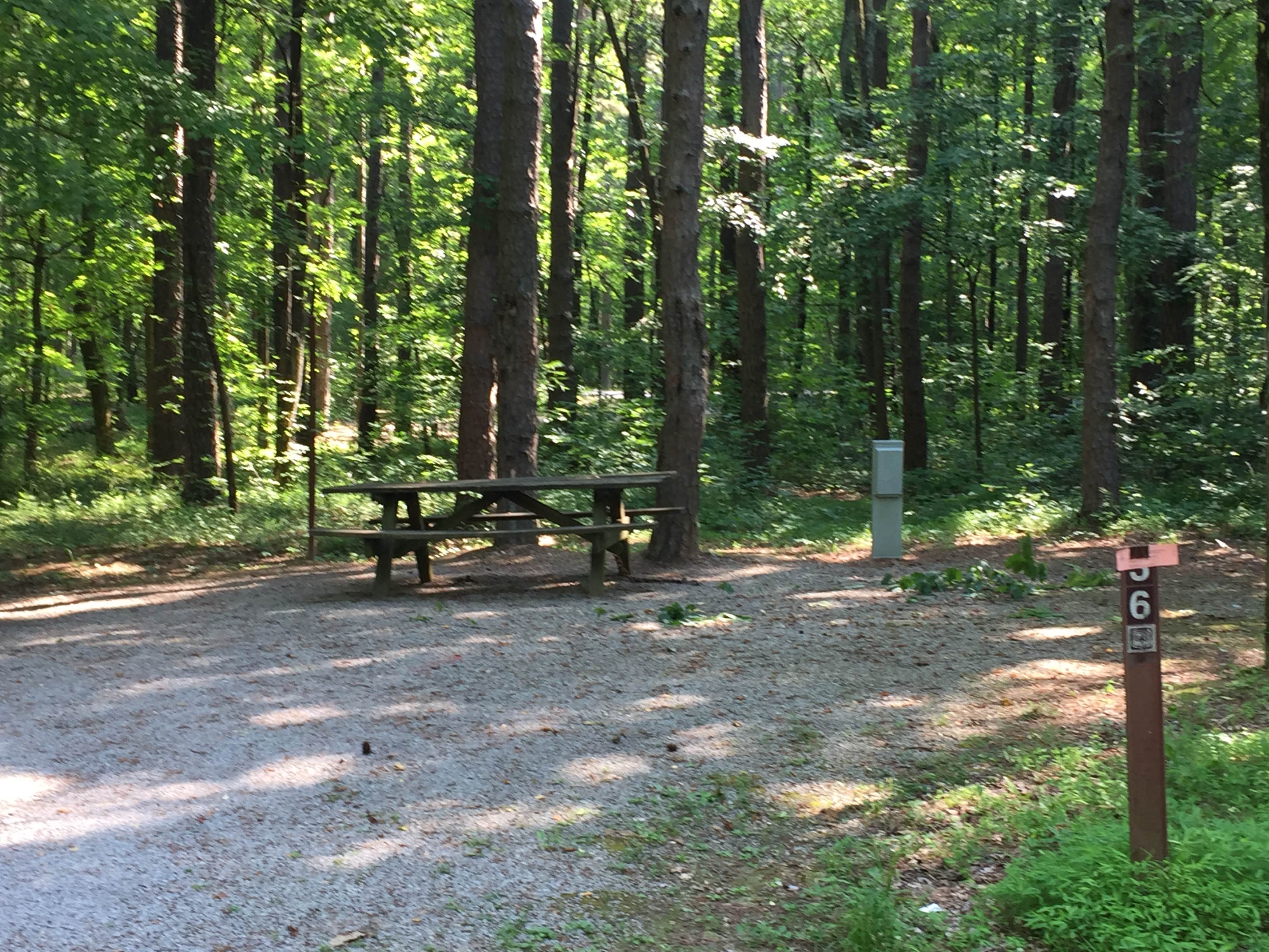 Camper-submitted photo at Pine Ridge near Karbers Ridge, IL