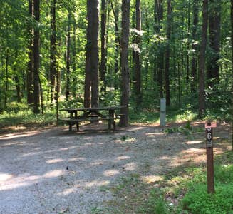 Camper-submitted photo from Redbud Campground at Bell Smith Springs