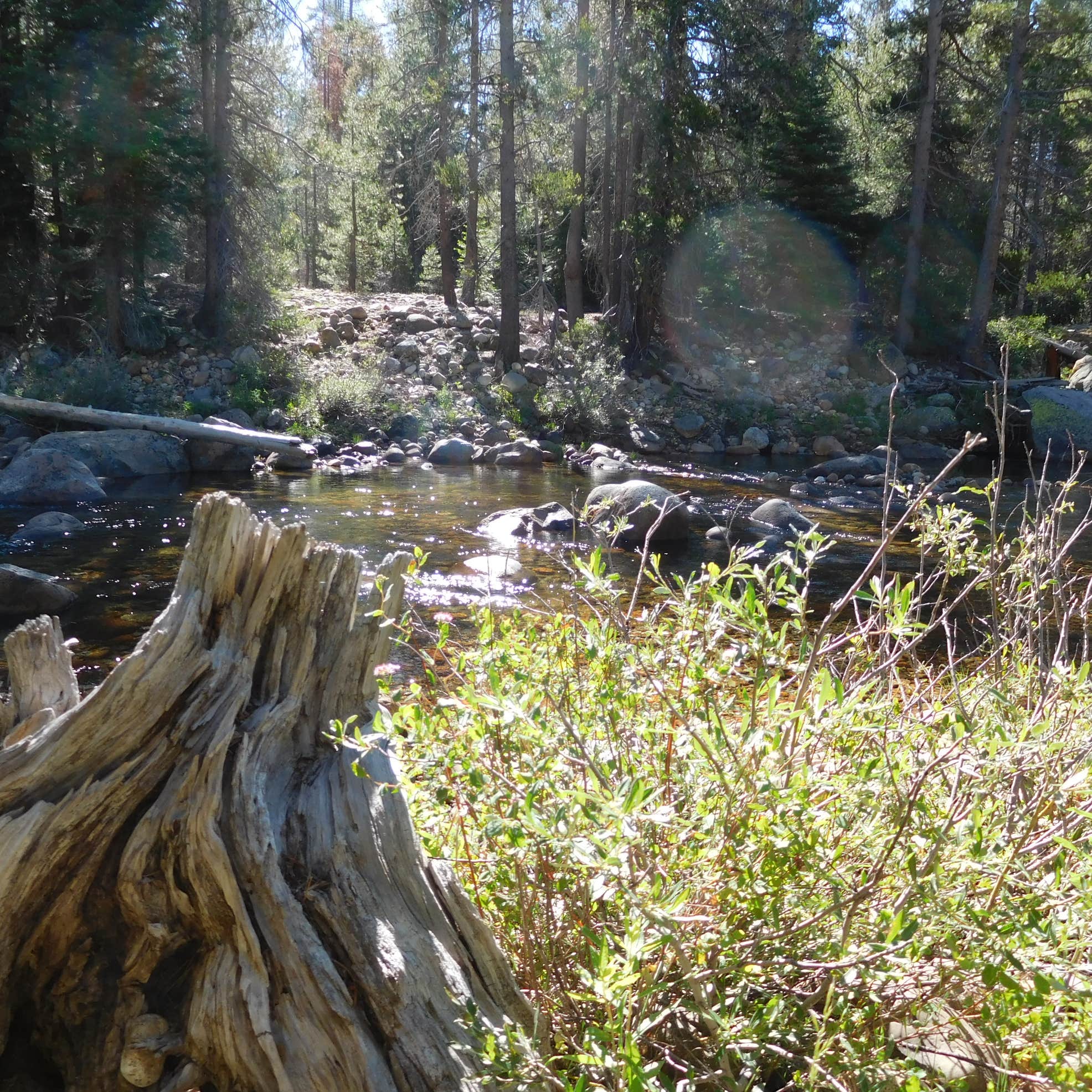 Granite Creek Campground Madera, CA