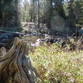 Review photo of Granite Creek Campground by Rebecca L., July 19, 2016