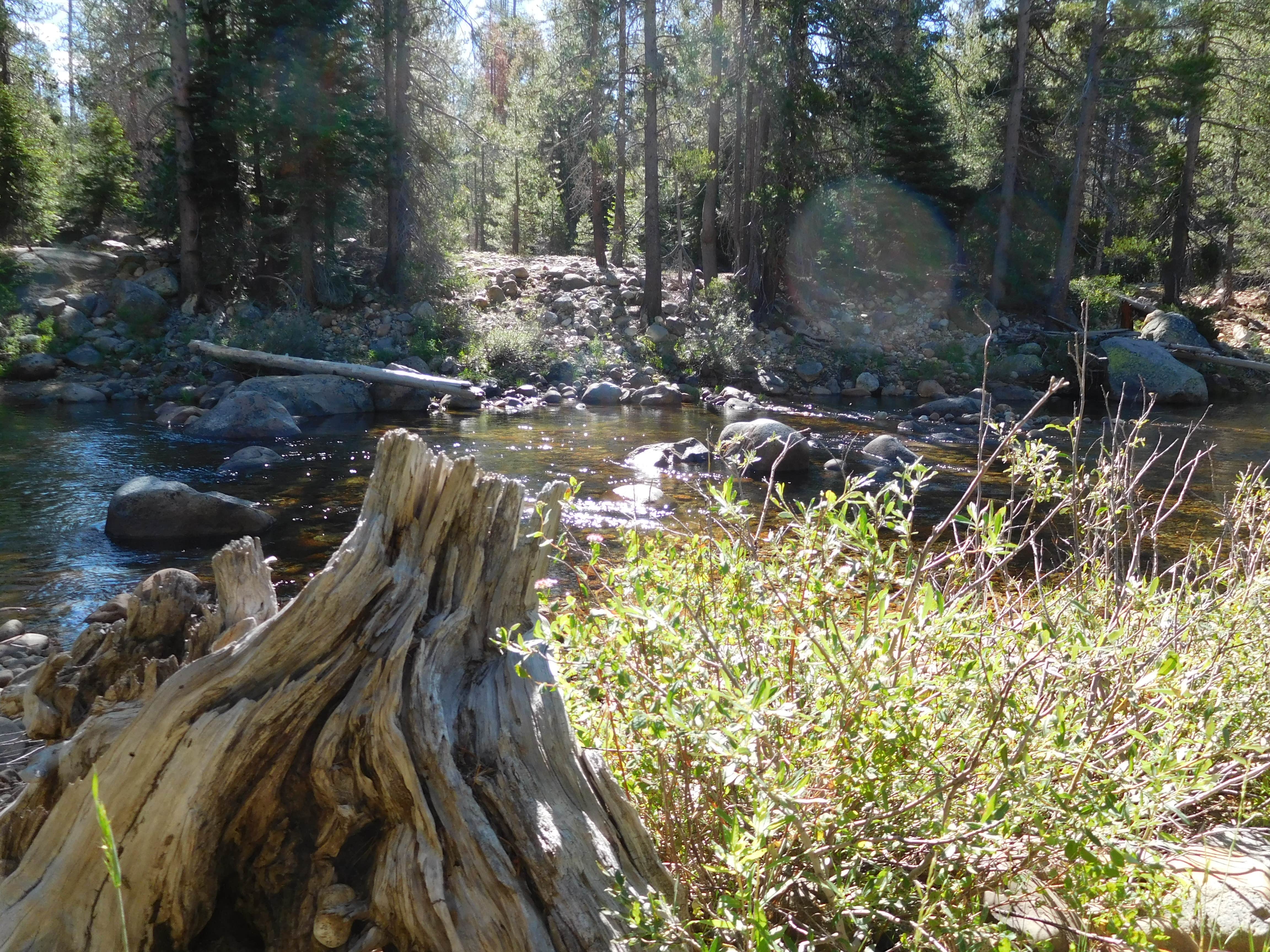 Camper submitted image from Granite Creek Campground - 1