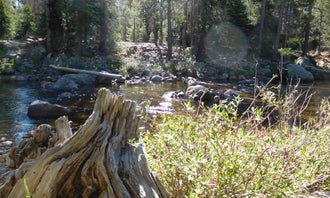 Camping near Clover Meadow Campground: Granite Creek Campground, Devils Postpile National Monument, California
