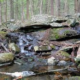 Review photo of Pawtuckaway State Park Campground by Ben J., August 26, 2021