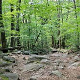 Review photo of Pawtuckaway State Park Campground by Ben J., August 26, 2021