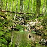 Review photo of Pawtuckaway State Park Campground by Ben J., August 26, 2021