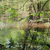 Review photo of Pawtuckaway State Park Campground by Ben J., August 26, 2021