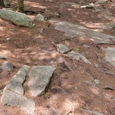 Review photo of Pawtuckaway State Park Campground by Ben J., August 27, 2021