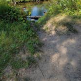 Review photo of Spruce Rustic Campground — Rifle River Recreation Area by Jason N., August 27, 2021