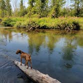 Review photo of Spruce Rustic Campground — Rifle River Recreation Area by Jason N., August 27, 2021