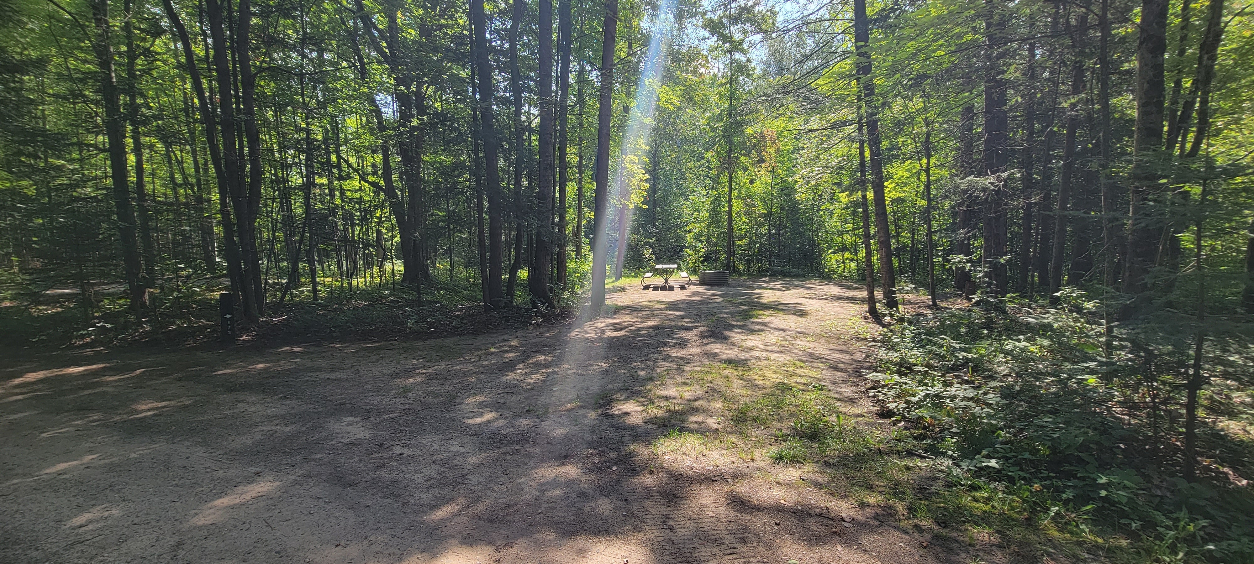 Camper submitted image from Spruce Rustic Campground — Rifle River Recreation Area - 3