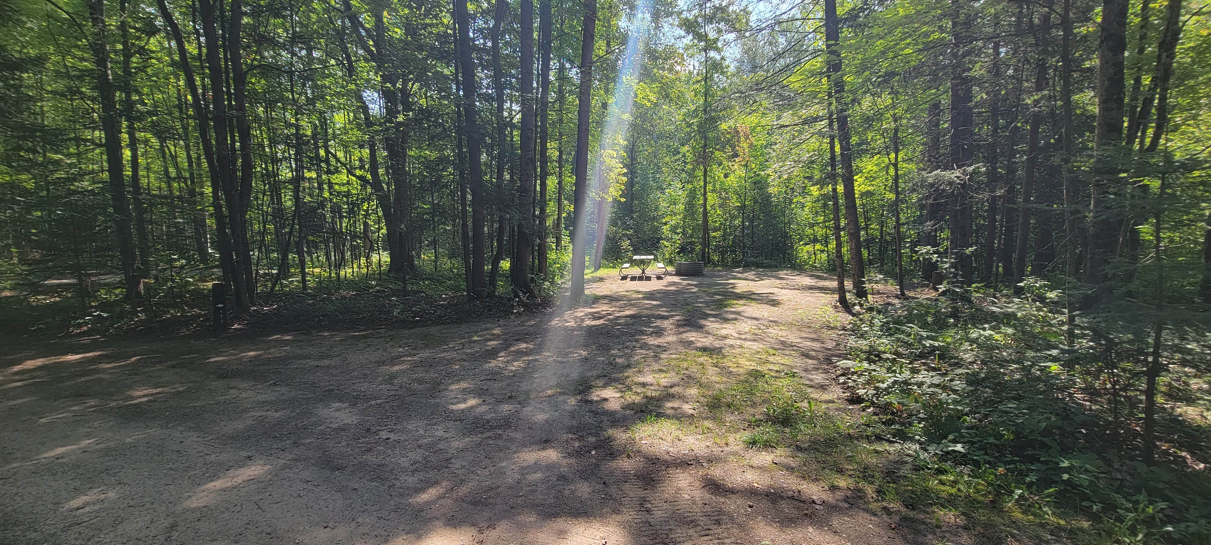 Camper submitted image from Spruce Rustic Campground — Rifle River Recreation Area - 3