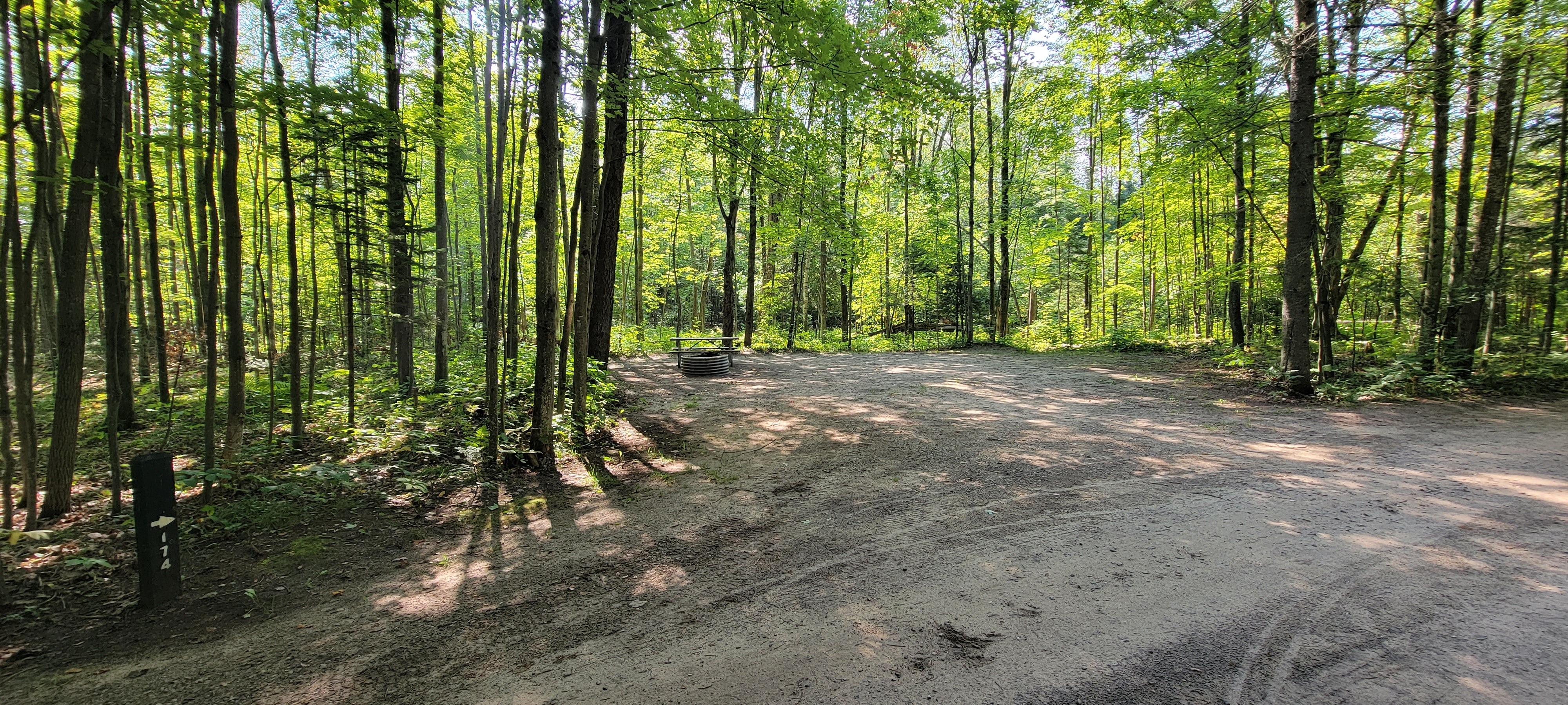 Camper submitted image from Spruce Rustic Campground — Rifle River Recreation Area - 2
