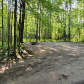 Review photo of Spruce Rustic Campground — Rifle River Recreation Area by Jason N., August 27, 2021