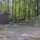 Review photo of Spruce Rustic Campground — Rifle River Recreation Area by Jason N., August 27, 2021