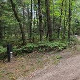 Review photo of Spruce Rustic Campground — Rifle River Recreation Area by Jason N., August 27, 2021