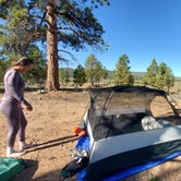 Review photo of Tom Best Spring Road FR117 Dispersed - Dixie National Forest by Keith R., August 27, 2021