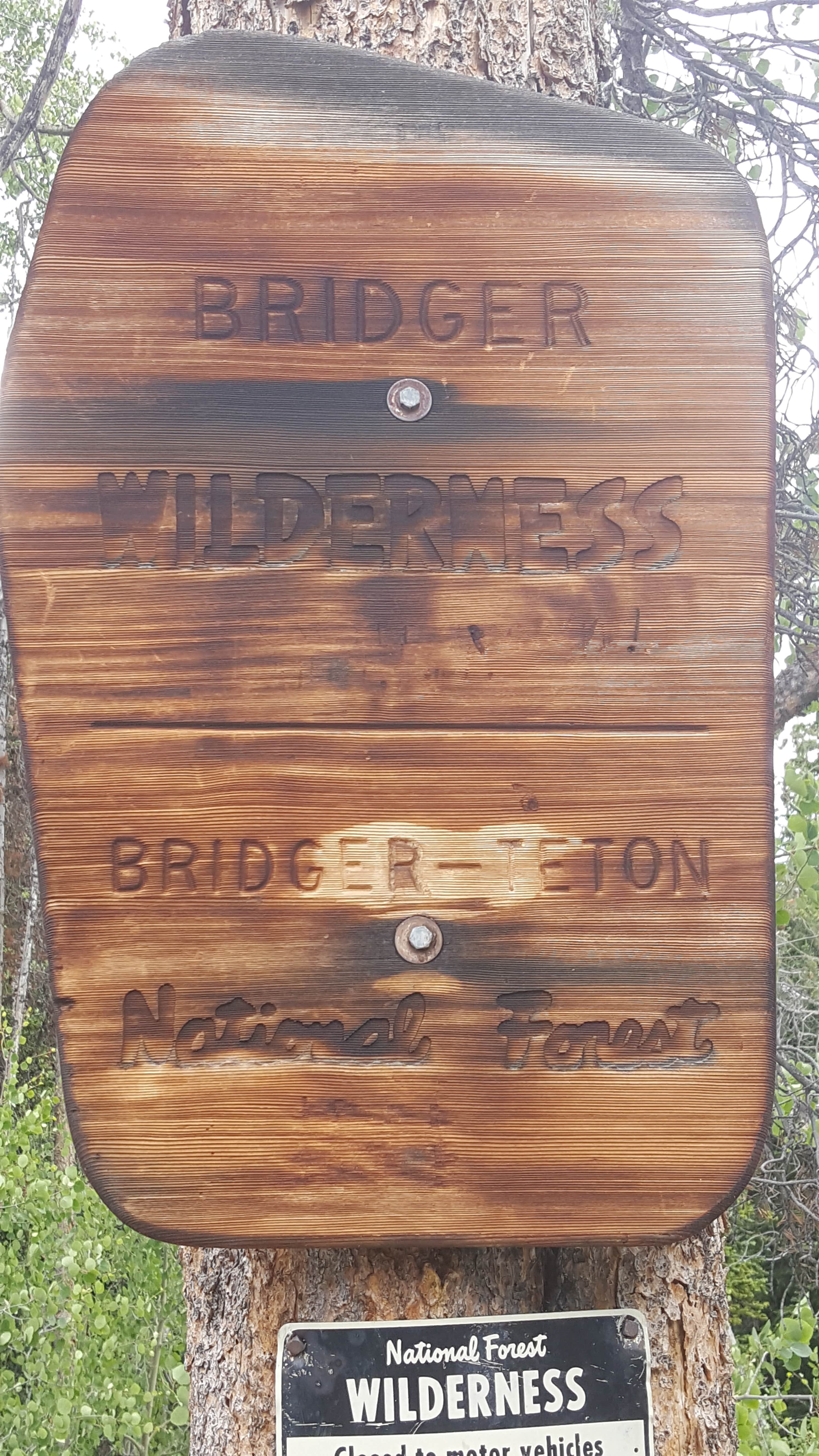 Camper-submitted photo at Scab Creek Small Vehicle Campground near Boulder, WY