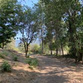 Review photo of Valley of the Rogue State Park Campground by Michael C., August 27, 2021