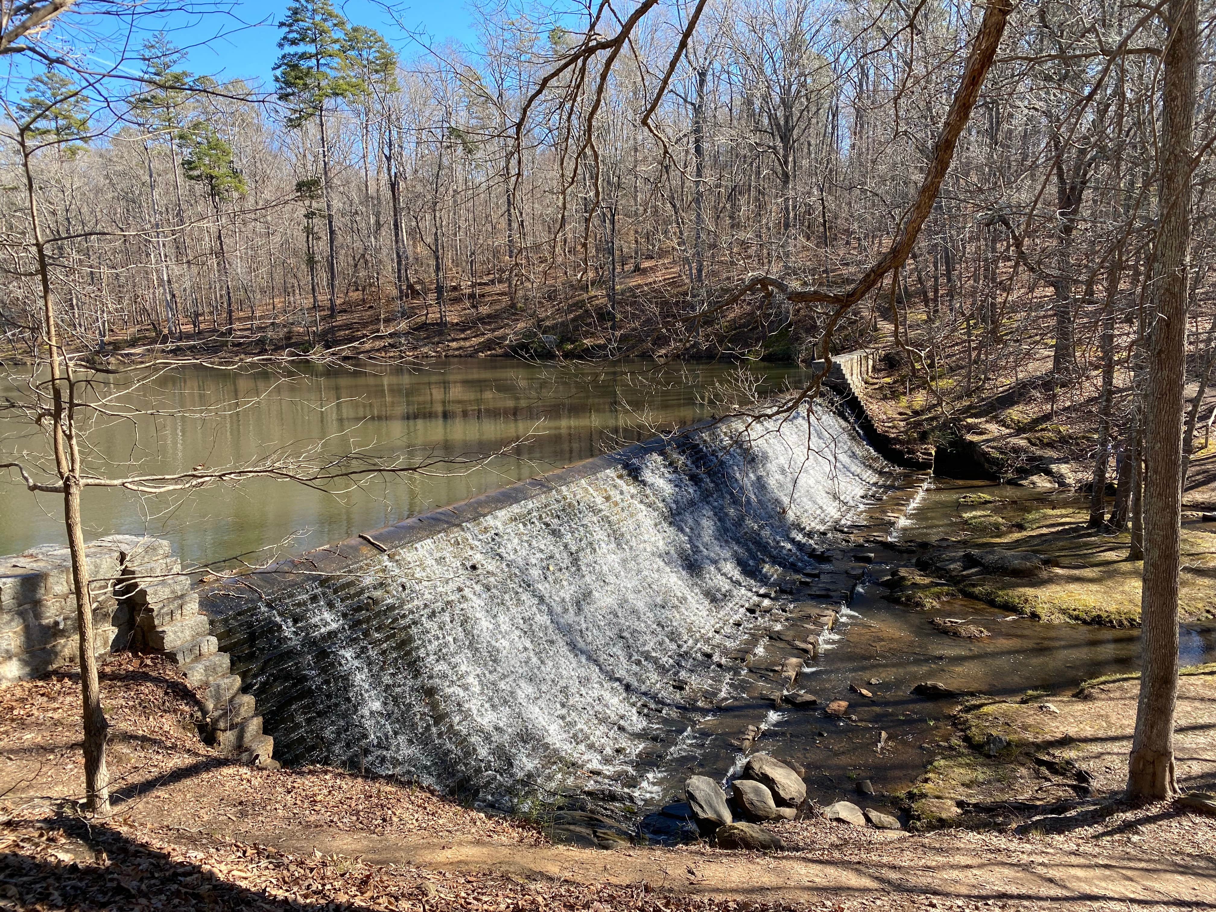 Camper submitted image from Kings Mountain — Kings Mountain State Park - 1