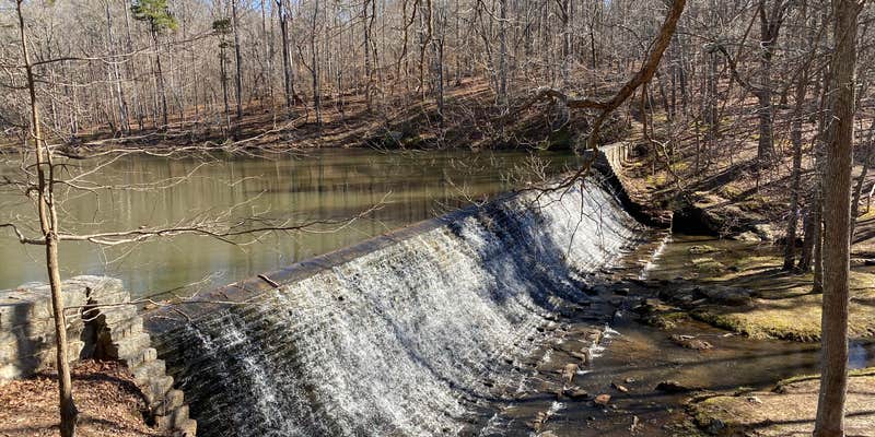 Camper submitted image from Kings Mountain — Kings Mountain State Park