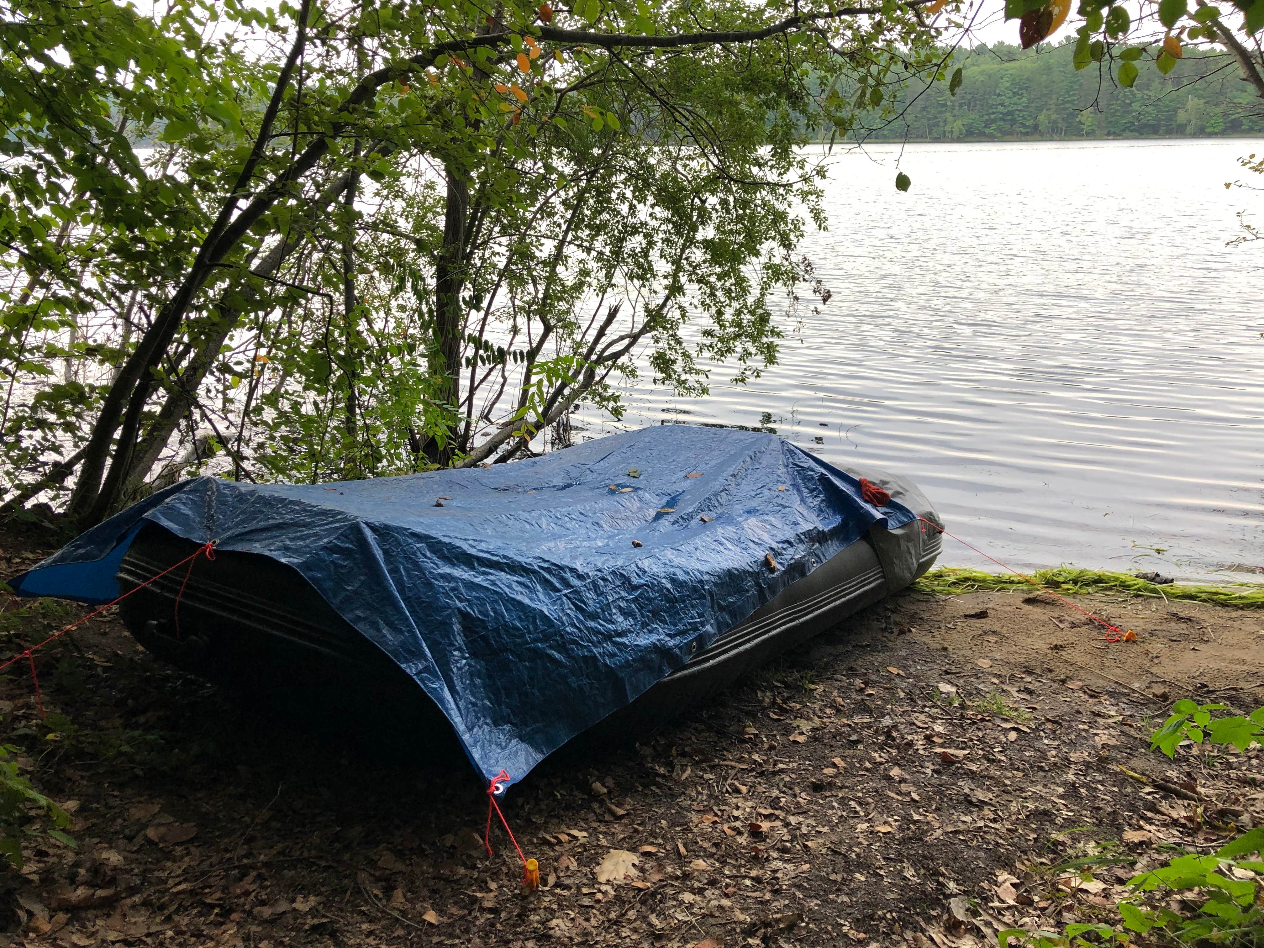 Camper submitted image from Arbutus Lake State Forest Campground - 2