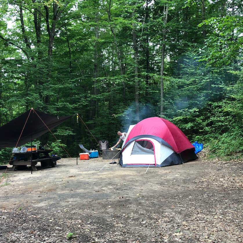 Best camping in Sleeping Bear Dunes | The Dyrt