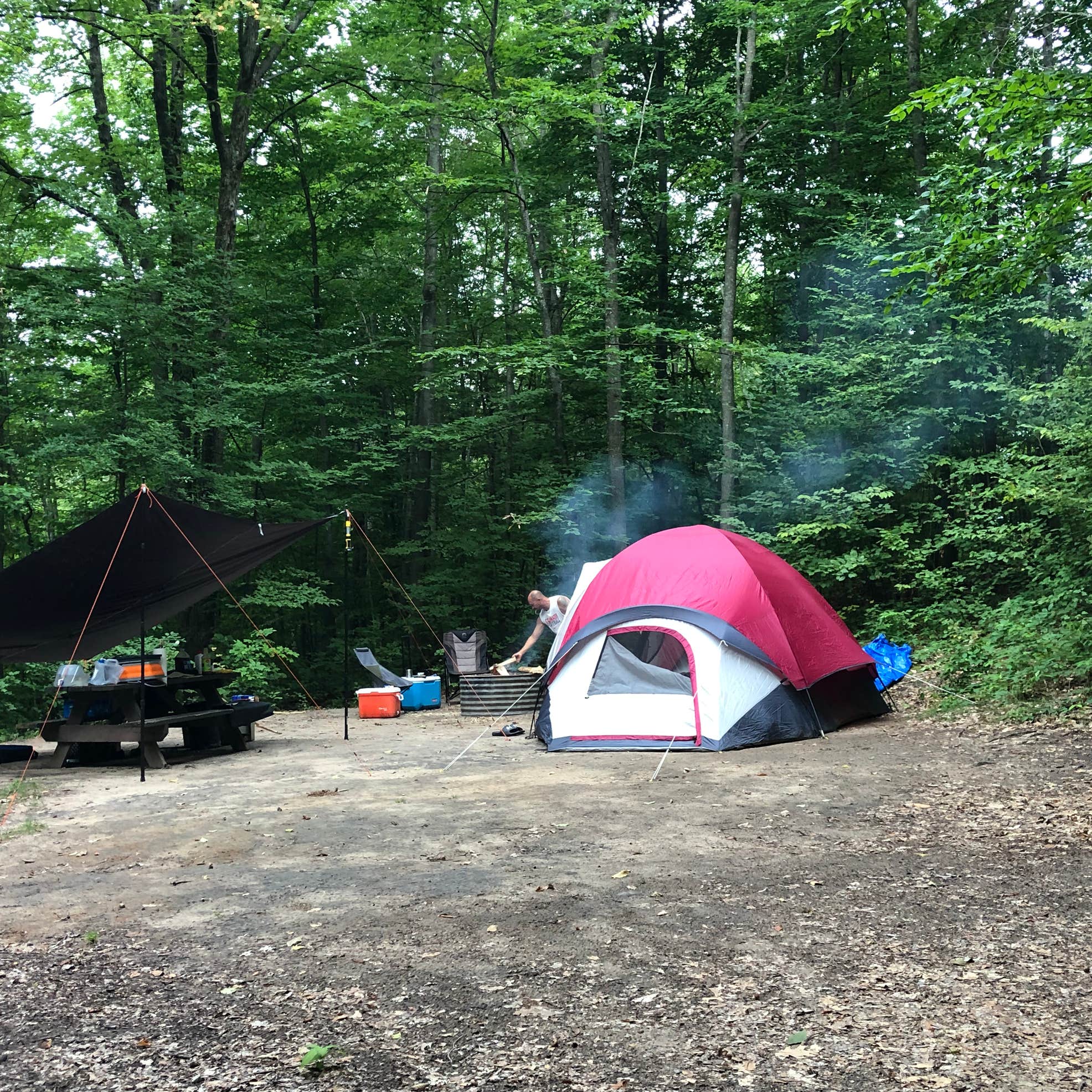 Arbutus Lake State Forest Campground Camping The Dyrt