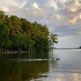 Review photo of Hamilton Branch State Park Campground by Tracy H., August 28, 2021