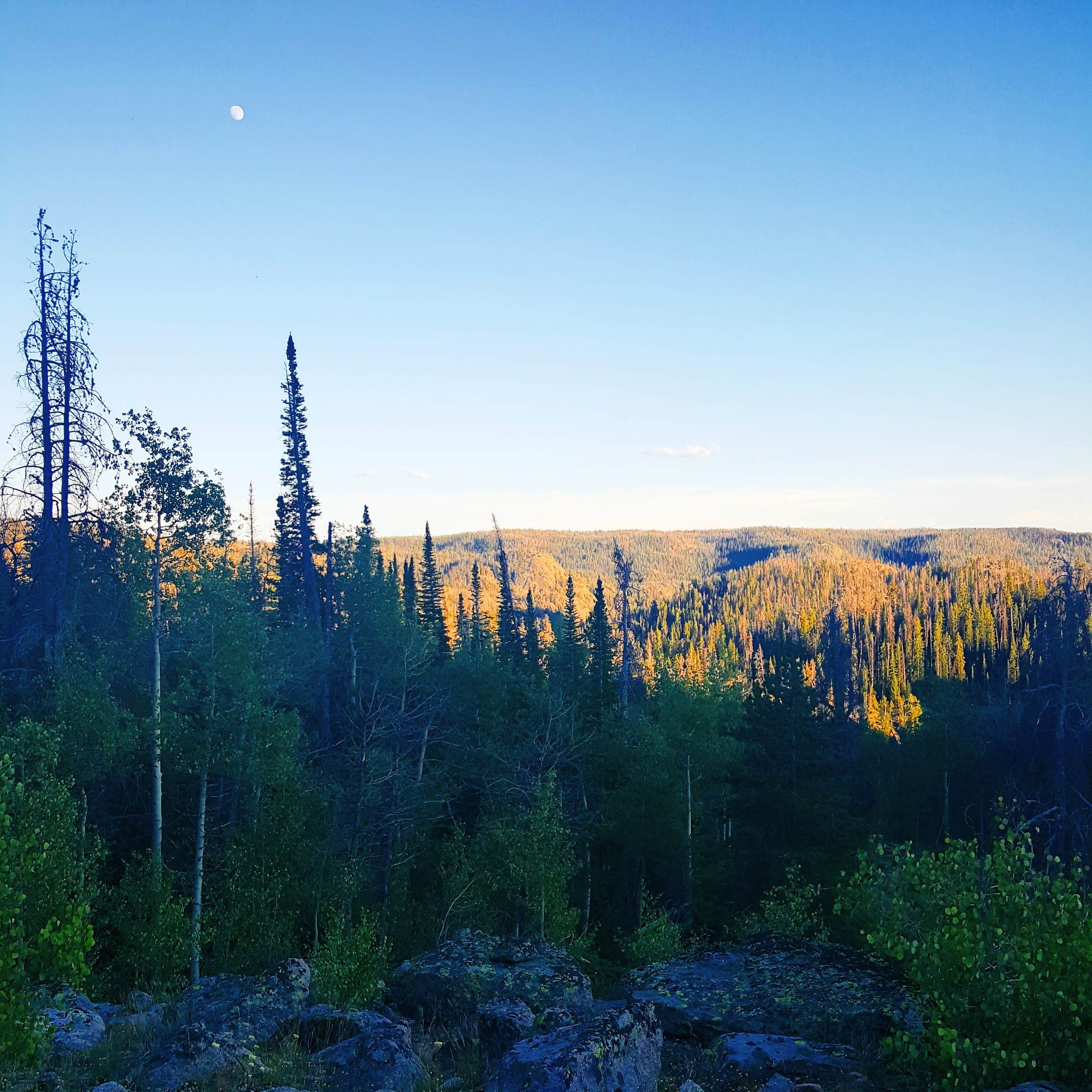 Camper-submitted photo at Scab Creek Small Vehicle Campground near Boulder, WY