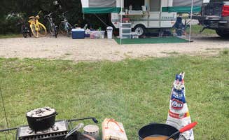 Tracy H.'s photo at Huntington Beach State Park Campground near Andrews, SC