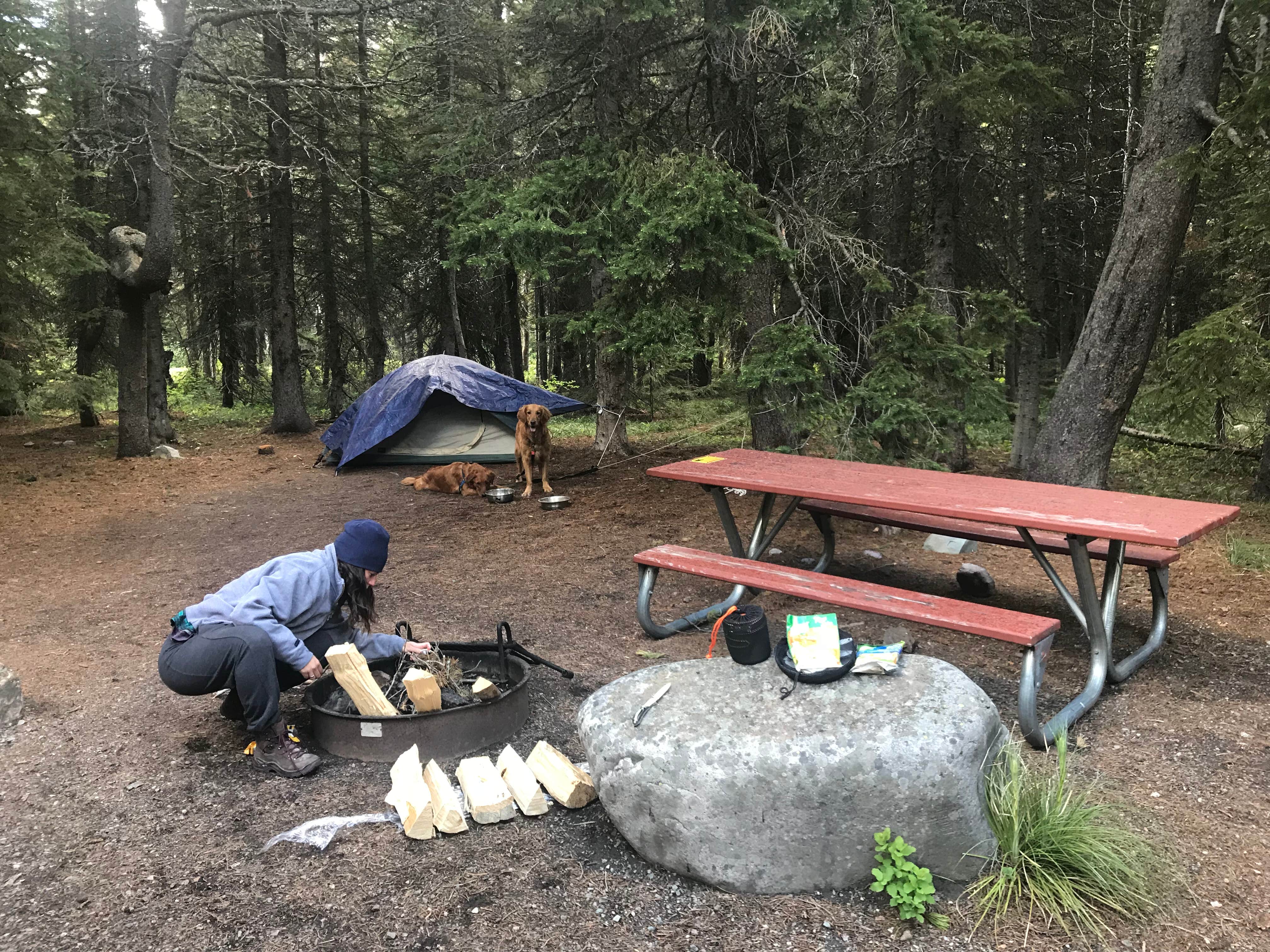 alexa H.'s photo at Many Glacier Campground — Glacier National Park near Glacier National Park