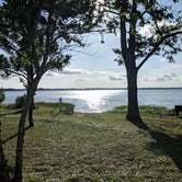 Review photo of Carolina Beach State Park Campground by Catherine F., June 20, 2018