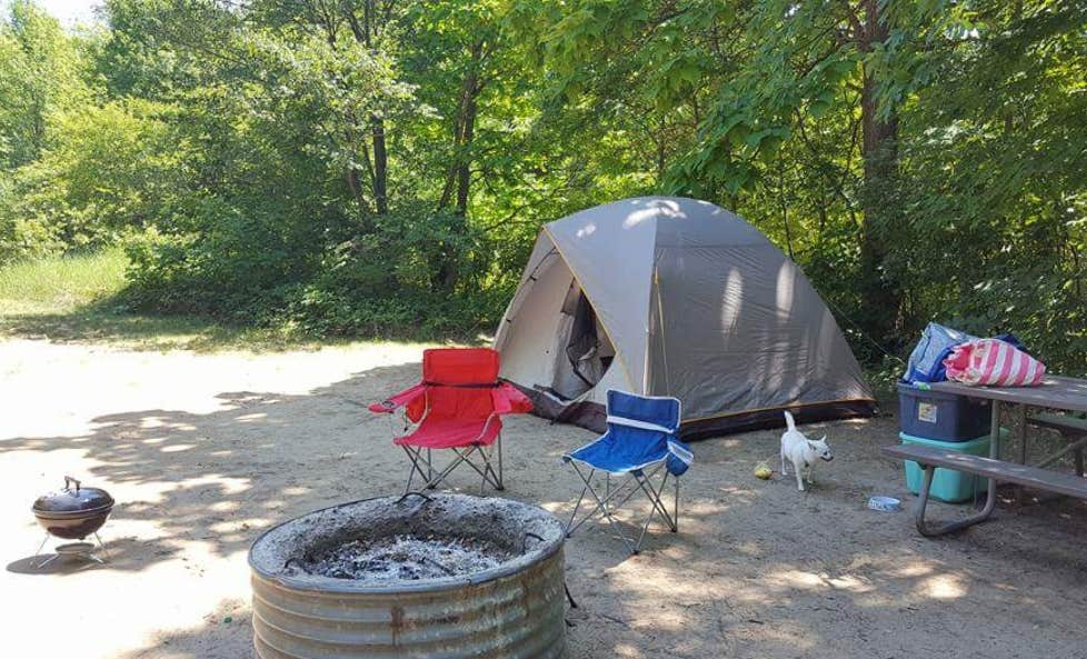Camper-submitted photo at Warren Dunes State Park Campground near Niles, MI