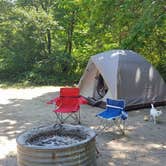 Review photo of Warren Dunes State Park Campground by Catherine F., June 20, 2018