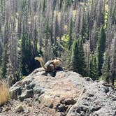 Review photo of Molas Lake Park & Campground by John R., August 28, 2021