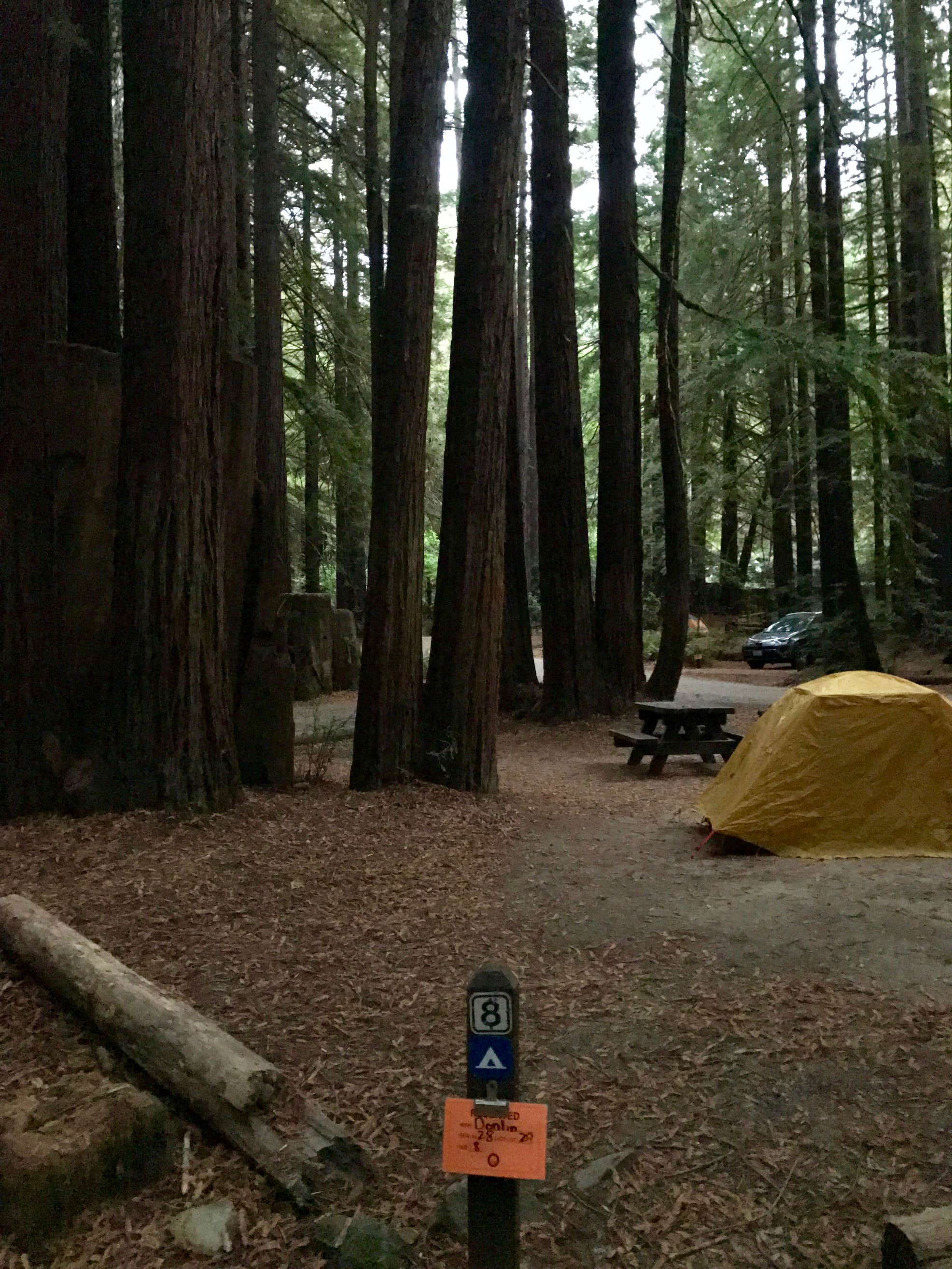 Burlington Humboldt Redwoods State Park Camping The Dyrt Burlington Humboldt Redwoods State Park Camping The Dyrt