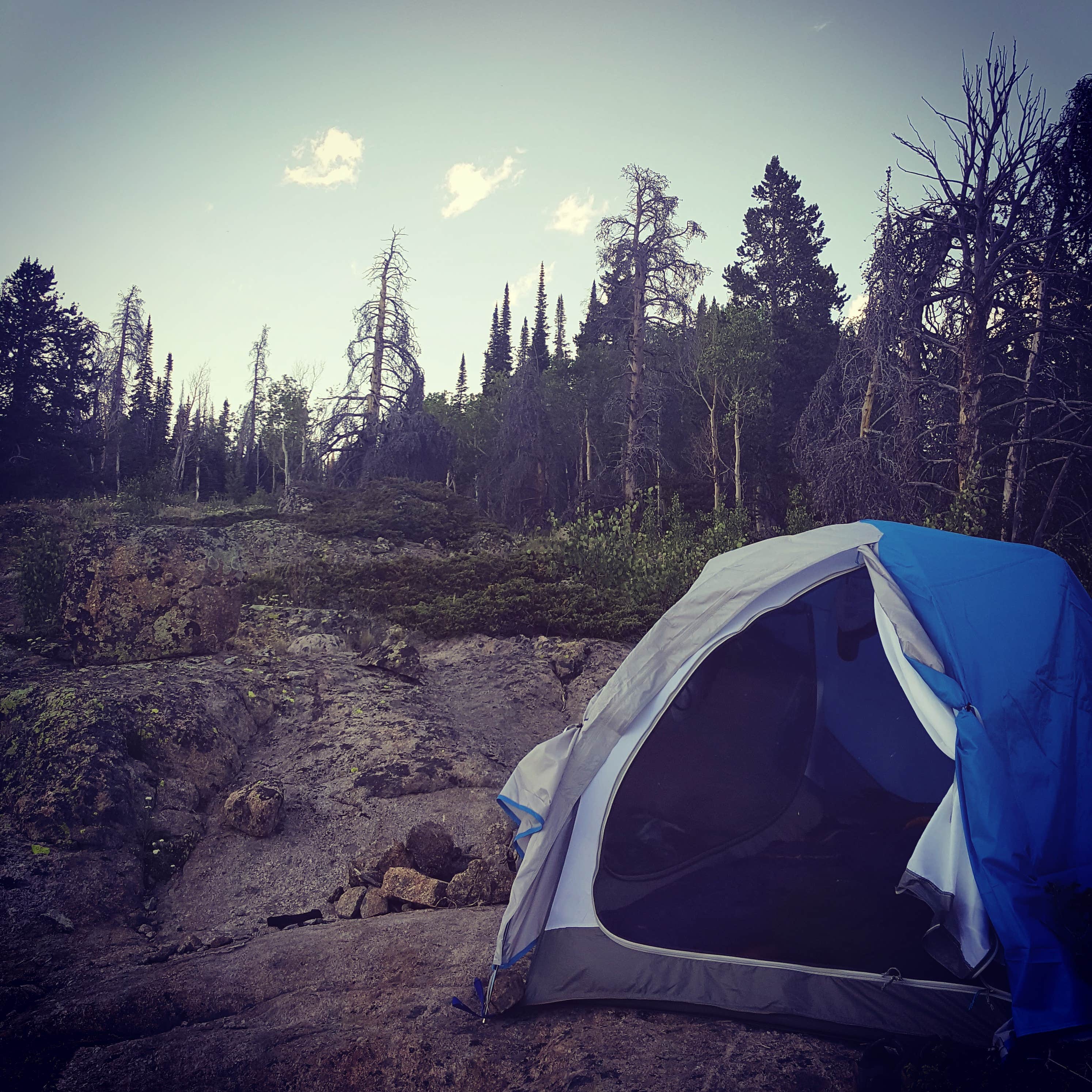 Camper submitted image from Scab Creek Small Vehicle Campground - 4