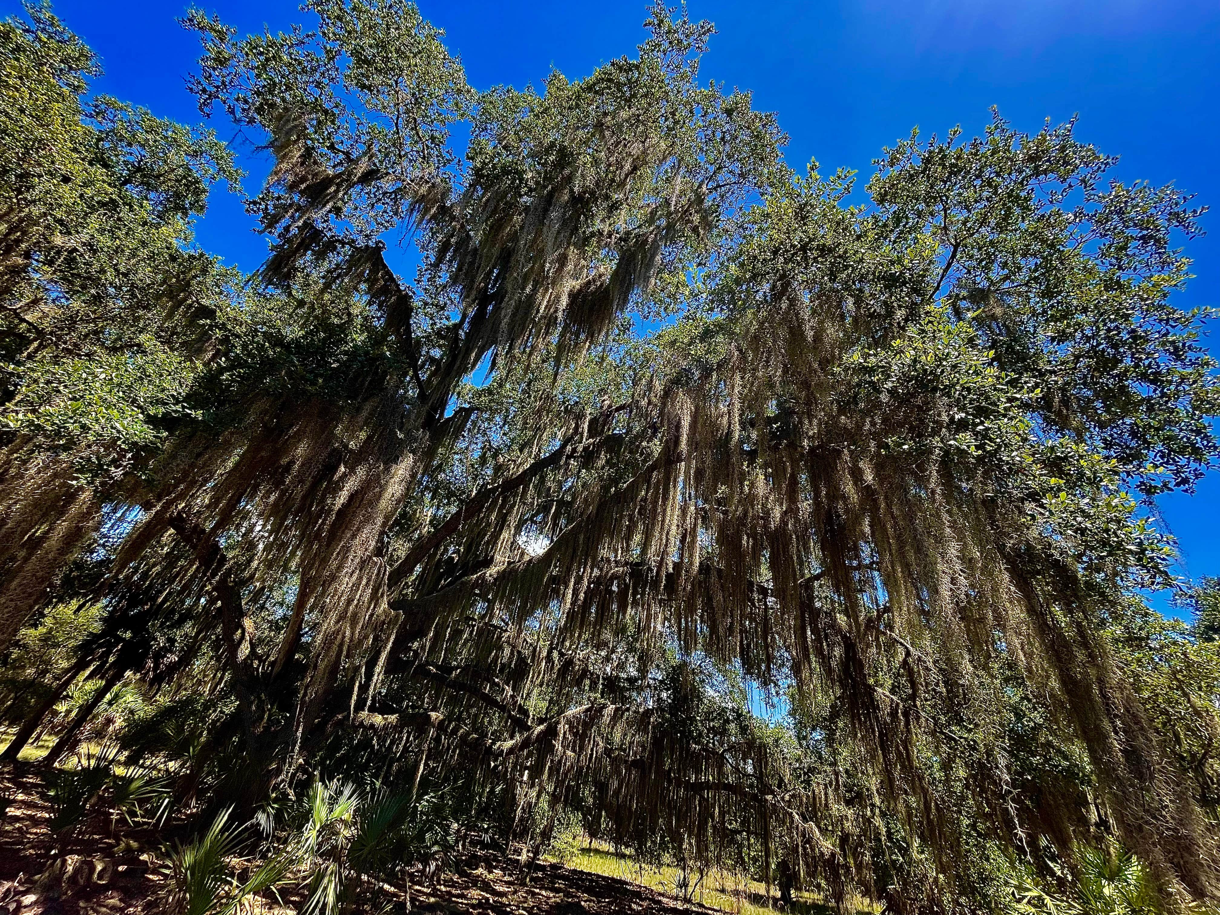 Camper-submitted photo at Big Lake Lodge & RV Park near Okeechobee, FL