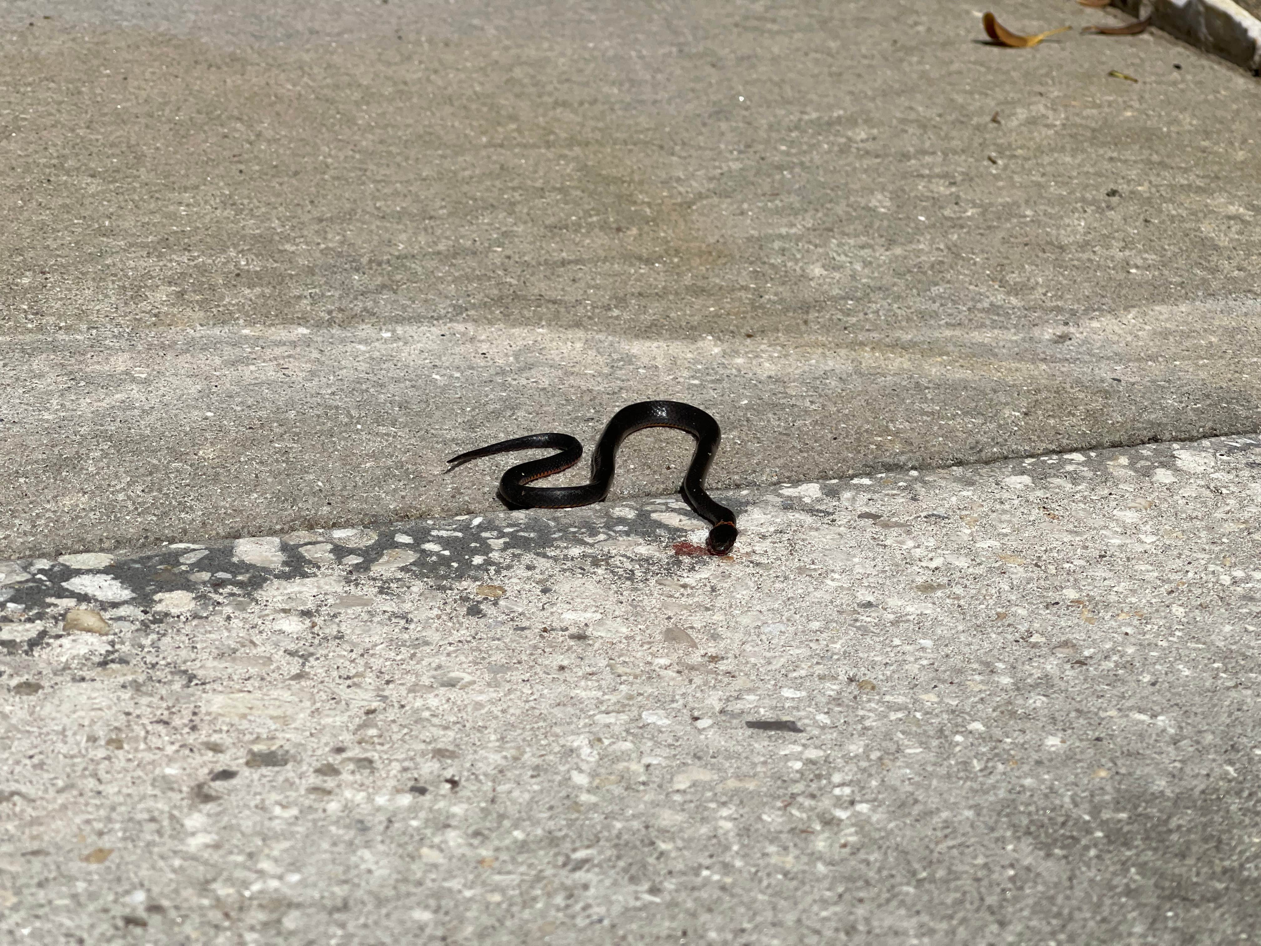 Camper-submitted photo at Big Lake Lodge & RV Park near Okeechobee, FL